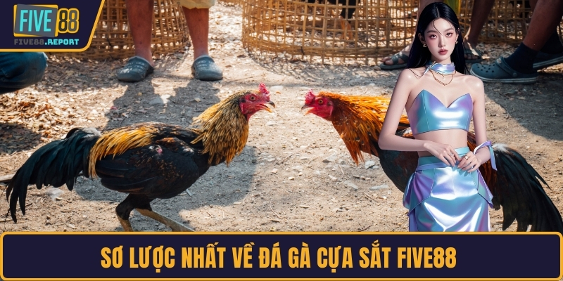 Sơ lược nhất về đá gà cựa sắt FIVE88 